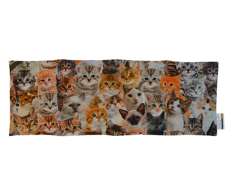 Katzen gemischt - Vierkammerkissen