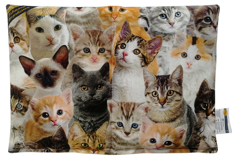 Katzen gemischt 2-Kammerkissen Premium
