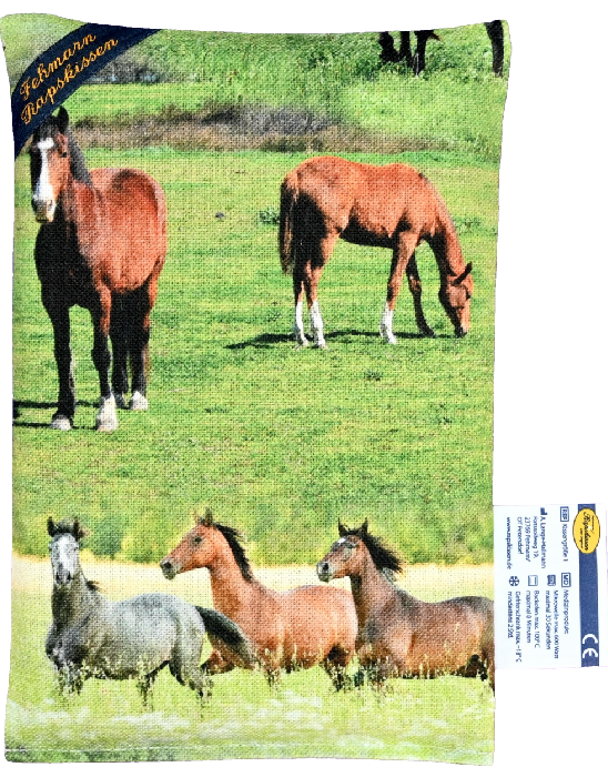 Pferde auf der Weide  1-Kammerkissen groß